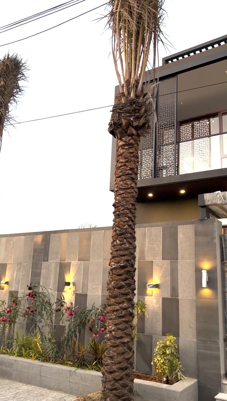 500 Sq Yards House for Sale in Phase 8, DHA Karachi — property photo 5